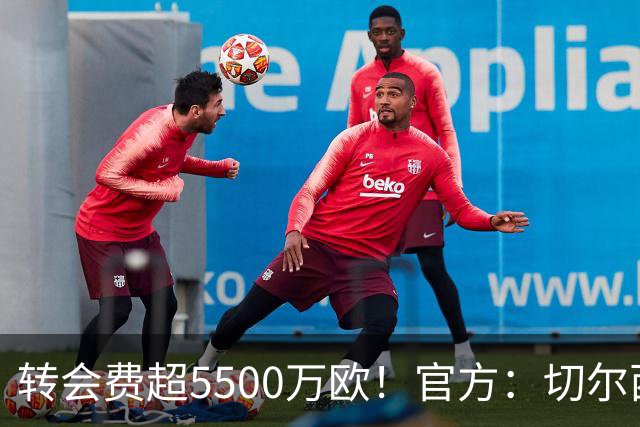 转会费超5500万欧！官方：切尔西签下21岁帕莱斯特拉，签约7年